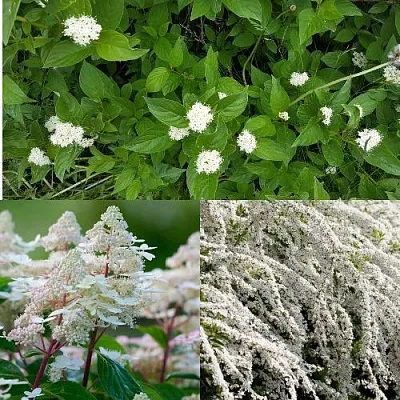 Комплект СКАНДИНАВСКИЙ СТИЛЬ в Иваново